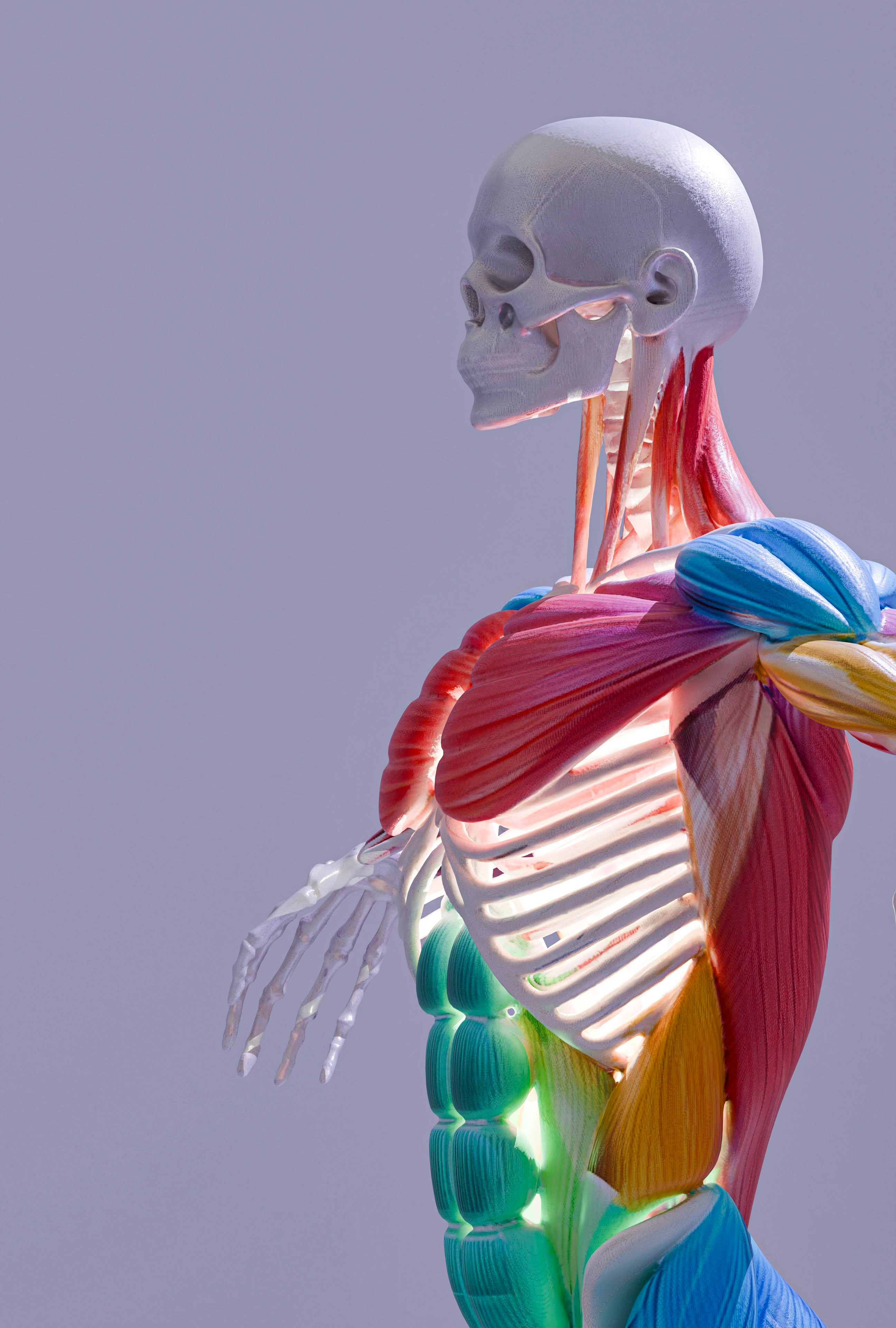 Anatomy Welcome Image